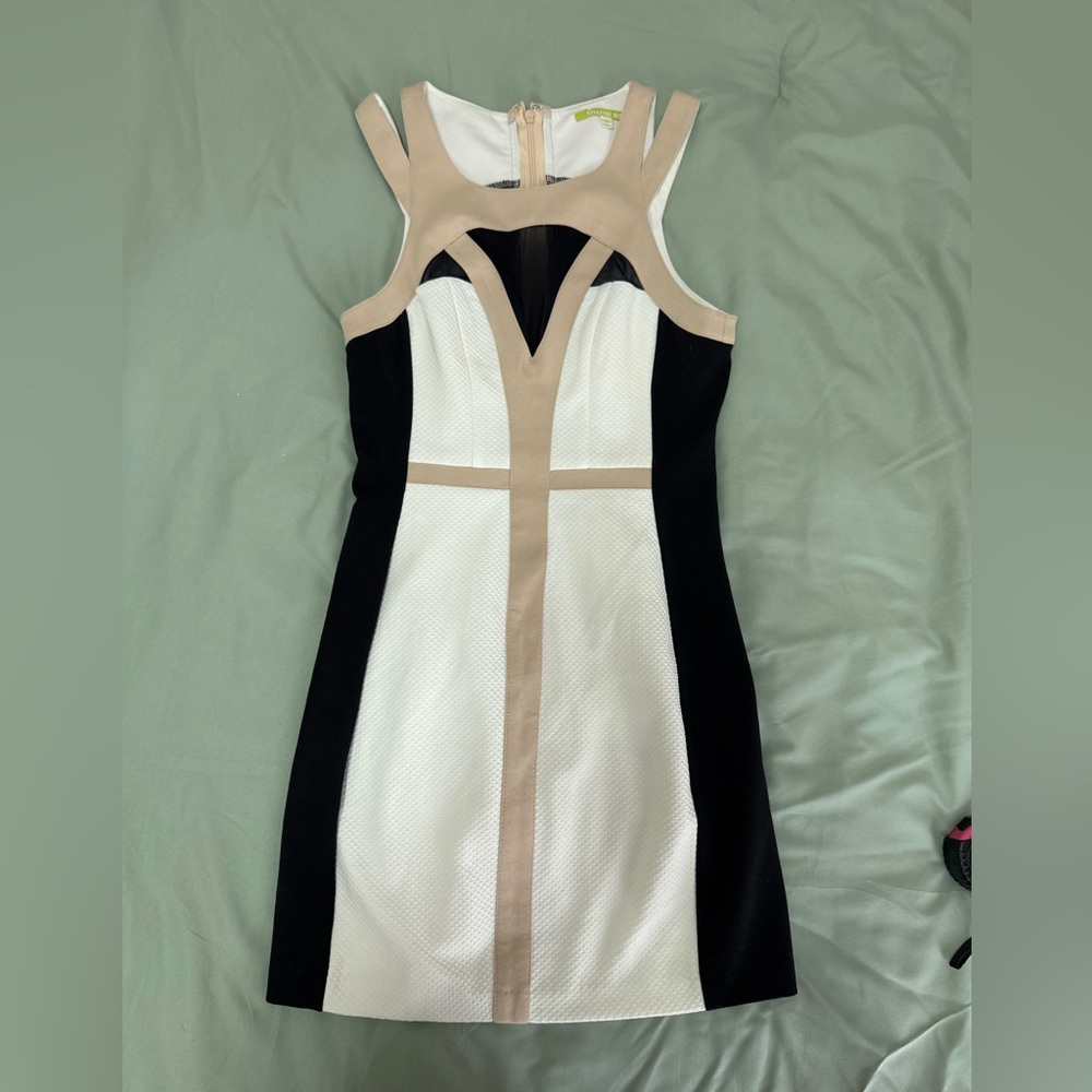 Gianni Bini Beige Dress